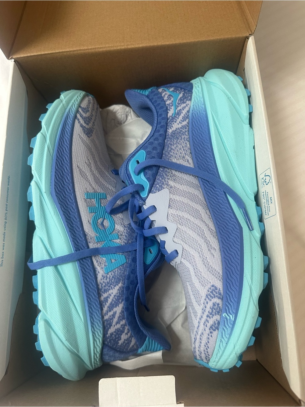 Hoka Women's Aqua & Royal Blue Challenger Running Shoes